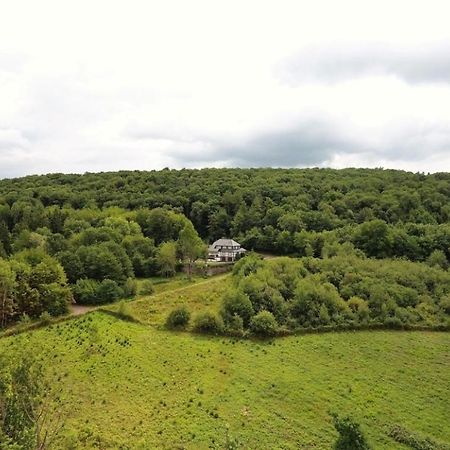 Totale Ruhe Im Wald Daire Pünderich Dış mekan fotoğraf